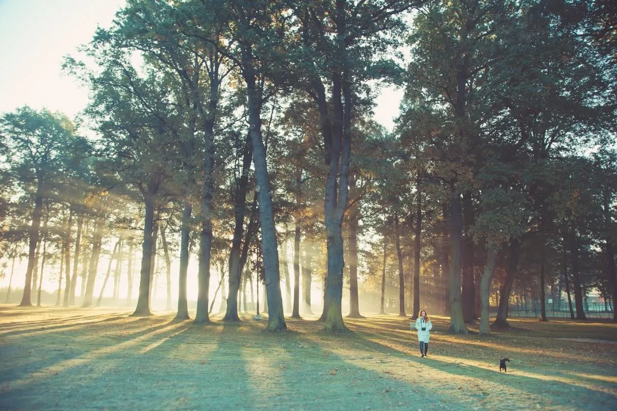 Park 4,5 ha